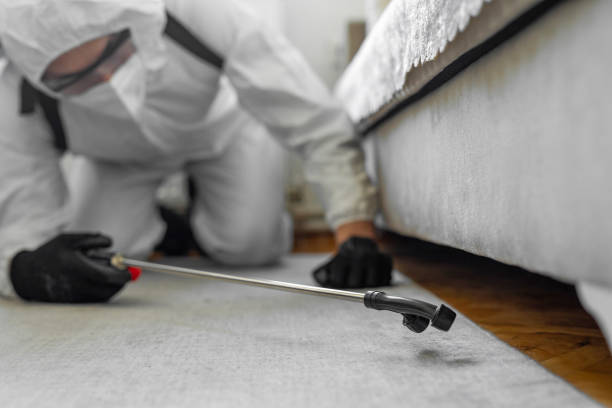 Professional Pest Control technician working in Dare County County, NC